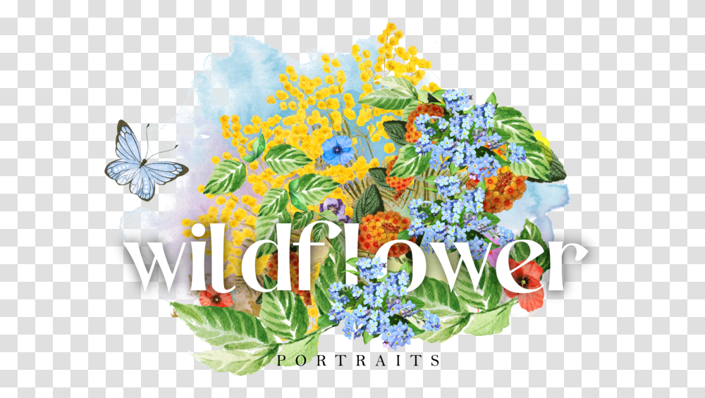 Wildflower Portraits, Plant, Graphics, Art, Floral Design Transparent Png