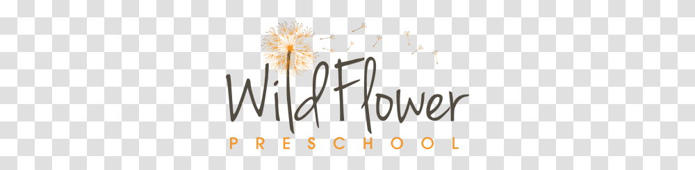 Wildflower Preschool, Lighting, Building, Urban, City Transparent Png
