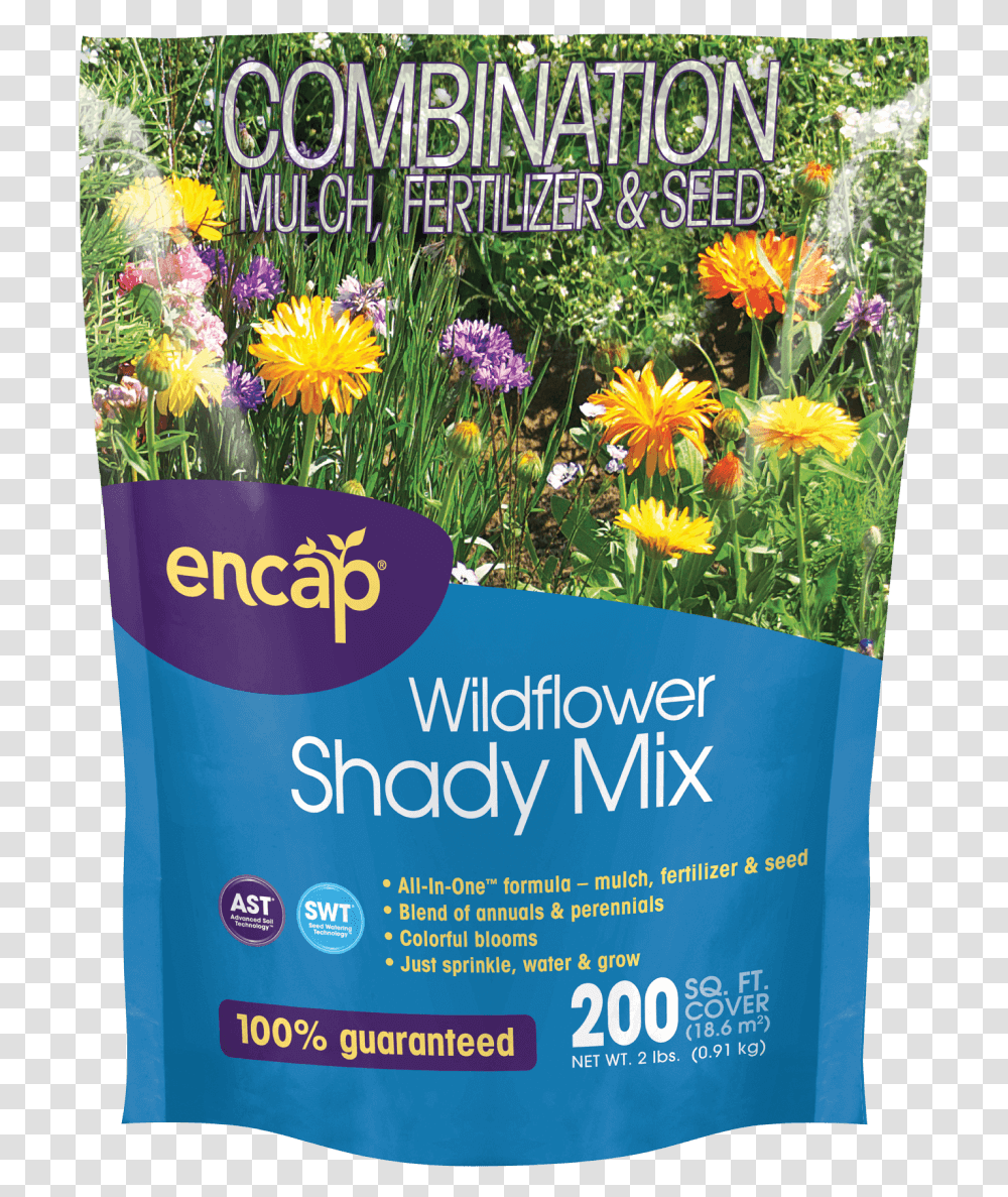Wildflower Shady Mix Seed, Plant, Poster, Advertisement, Label Transparent Png