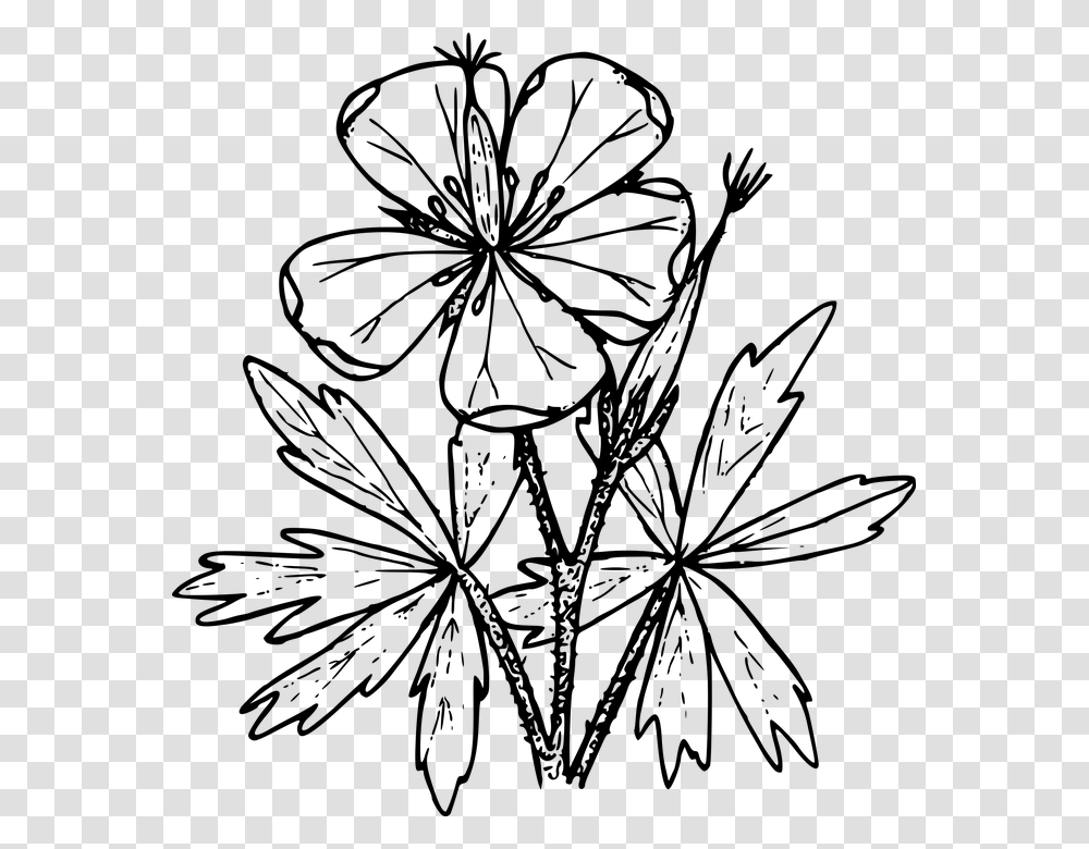 Wildflower Vector Botanical Clipart Wild Flower Border Clip Art, Gray, World Of Warcraft Transparent Png