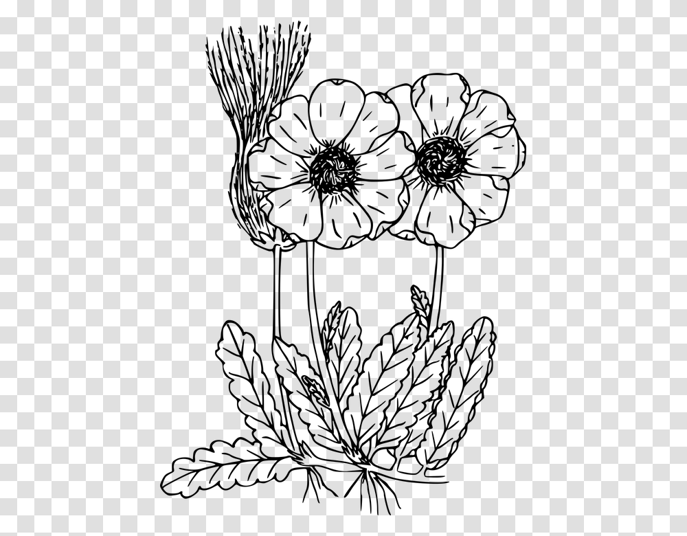 Wildflowers Clipart Wild Flowers Drawing, Gray, World Of Warcraft Transparent Png