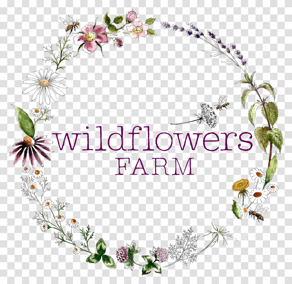 Wildflowers Farm Herbaceous Plant, Floral Design, Pattern, Graphics, Art Transparent Png