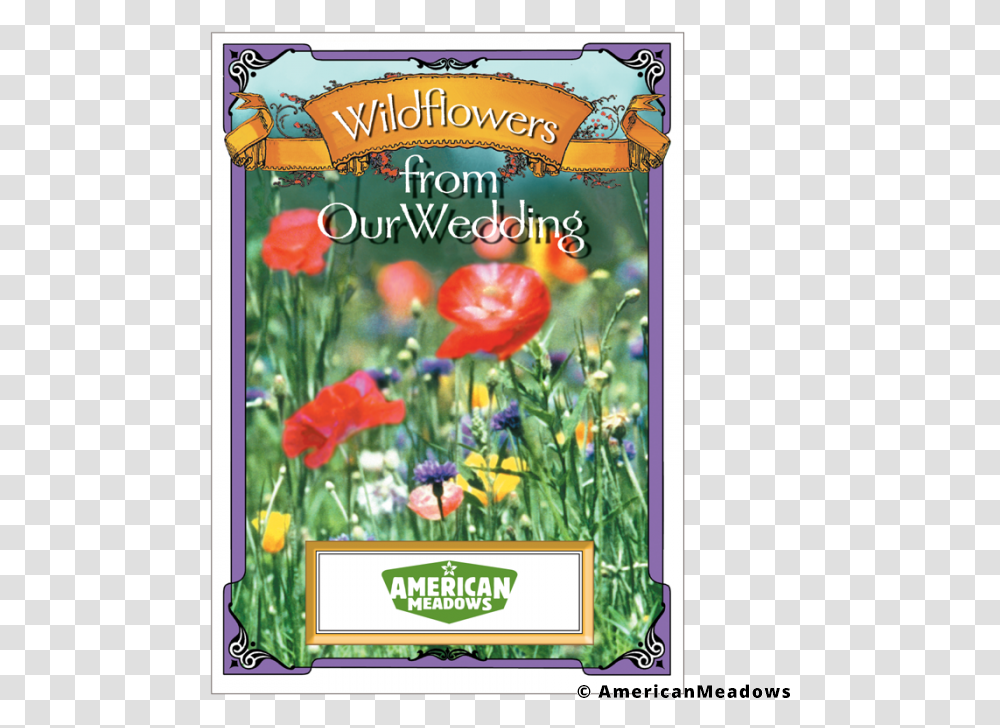 Wildflowers From Our Wedding Seed Packet Wildflower Seed Packets, Poster, Advertisement, Vegetation, Plant Transparent Png