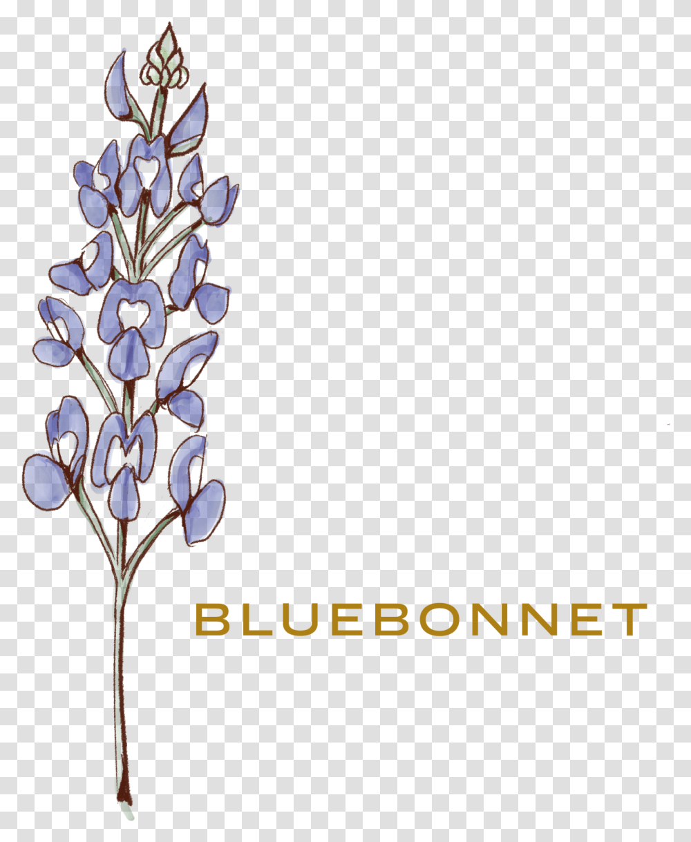 Wildflowers Language, Plant, Blossom, Lupin, Text Transparent Png