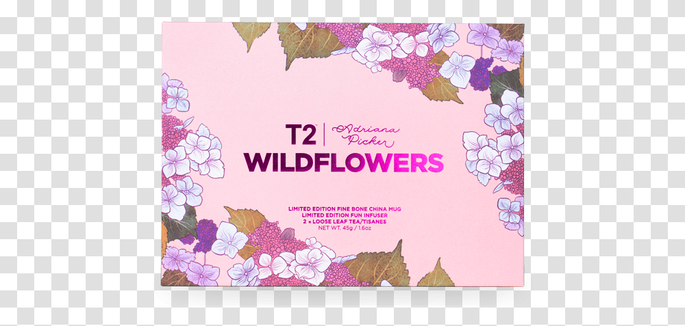 Wildflowers Party Supply, Envelope, Mail, Paper, Greeting Card Transparent Png