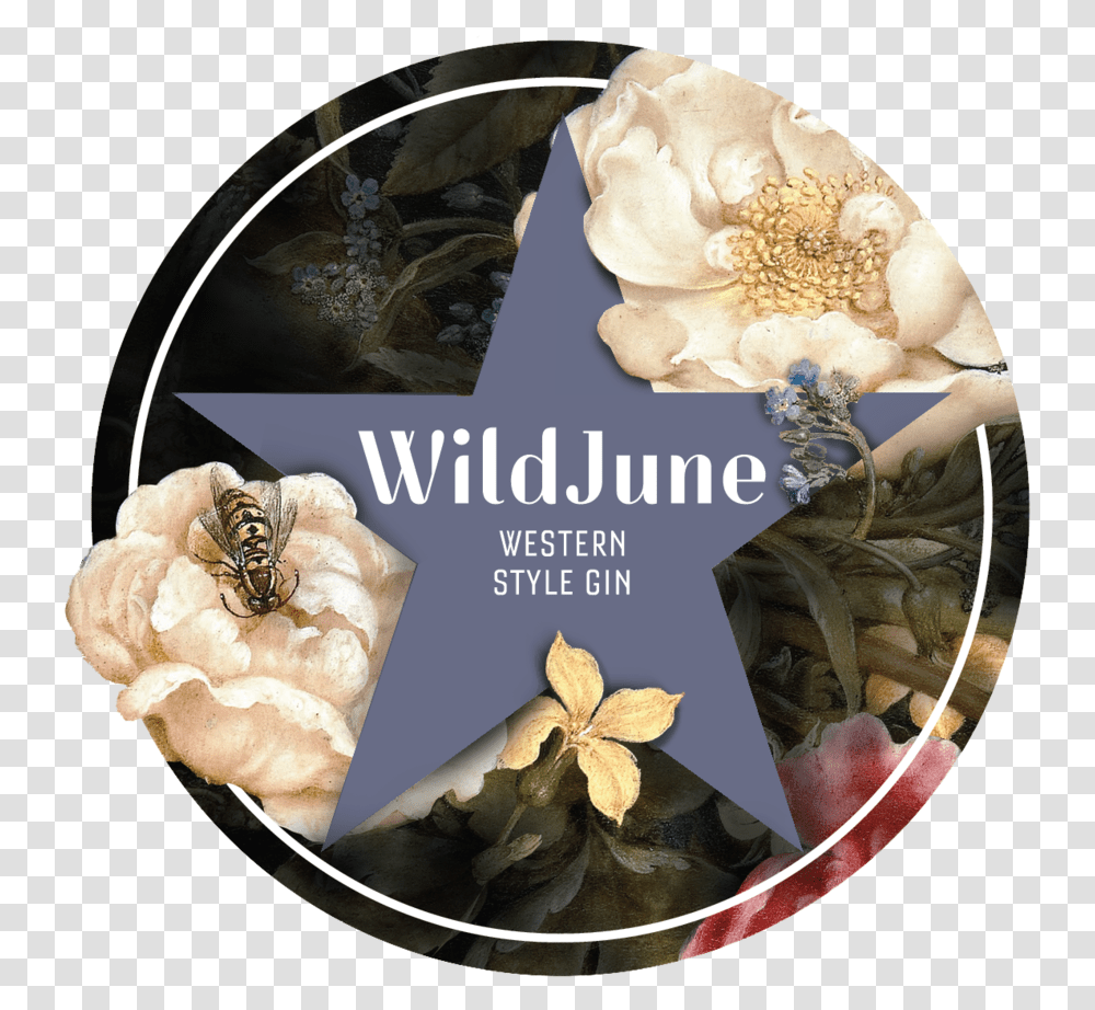 Wildjune Rose, Collage, Poster, Advertisement, Wasp Transparent Png