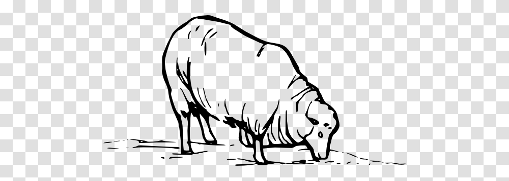 Wildlife Clipart Grass, Bull, Mammal, Animal, Pig Transparent Png