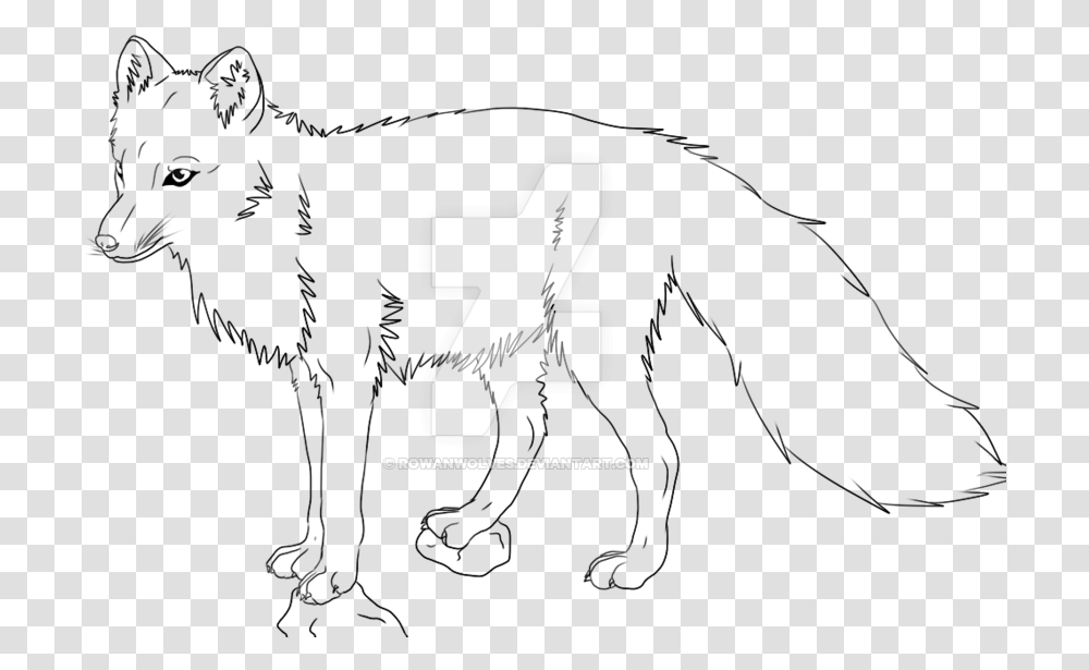 Wildlife Drawing Wolf Line Drawing Wolf, Number, Recycling Symbol Transparent Png