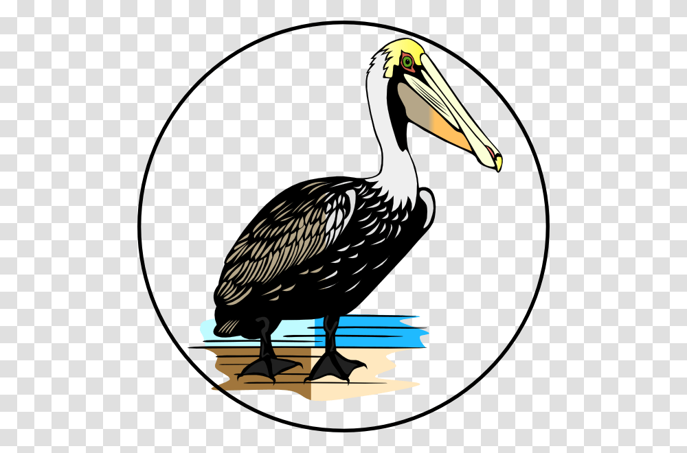 Wildlife Habitat Clip Art, Bird, Animal, Pelican Transparent Png