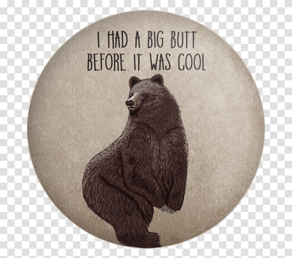 Wildlife Magnet Set, Bear, Mammal, Animal, Brown Bear Transparent Png