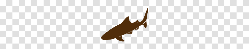 Wildlife The Whale Shark, Animal, Mammal Transparent Png