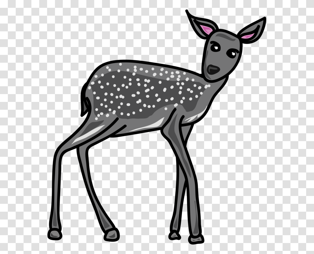 Wildlifeantlermusk Deer Grey Animals Clip Art, Bird, Mammal, Impala, Antelope Transparent Png