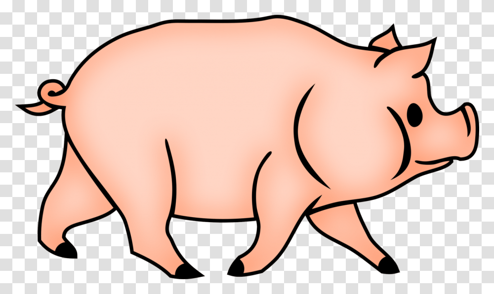 Wildlifeneckdomestic Pig Cerdos Conncara De Simio Dibujo, Mammal, Animal, Aardvark, Buffalo Transparent Png