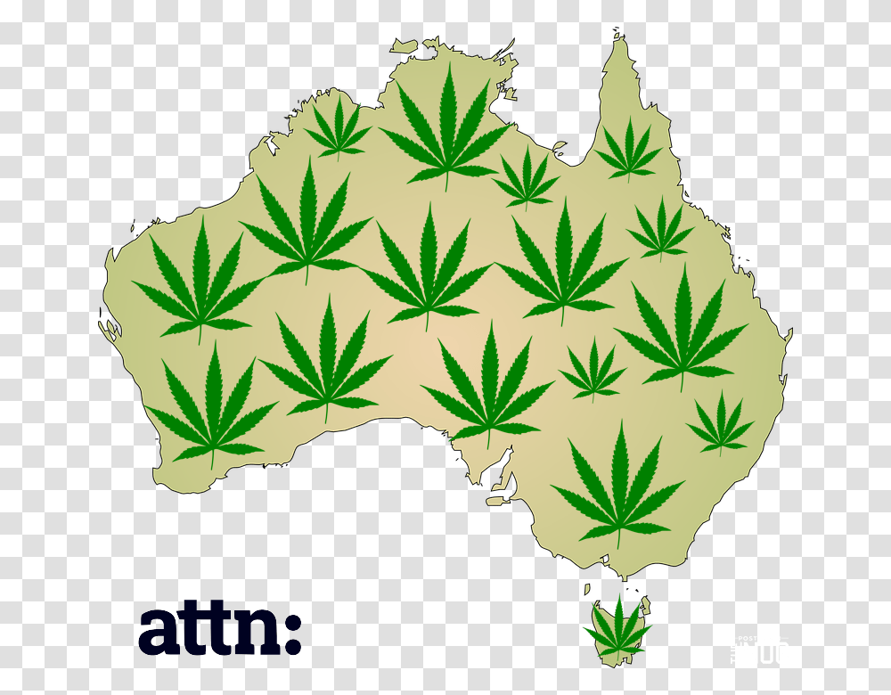 Will Australia Legalize Marijuana Growing Purple Map Of Australia, Plant, Leaf, Tree, Hemp Transparent Png