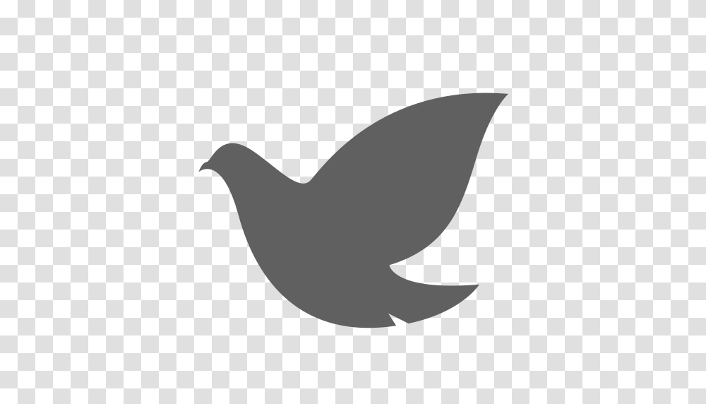 Will The Pigeon Fill Hand Icon With And Vector Format, Bird, Animal, Fowl, Poultry Transparent Png