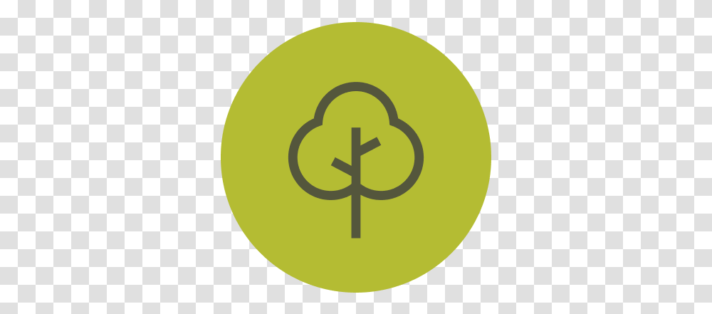 Willamette Valley's Mid Valley Events Restaurants & Things Tree, Tennis Ball, Sport, Sports, Symbol Transparent Png