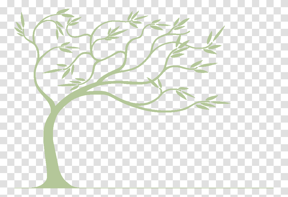 Willow Drawing Background Willow Tree Bending In The Wind, Floral Design, Pattern Transparent Png