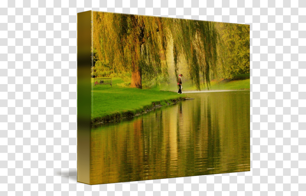 Willow Drawing Nature Picture Frame, Person, Human, Tree, Plant Transparent Png