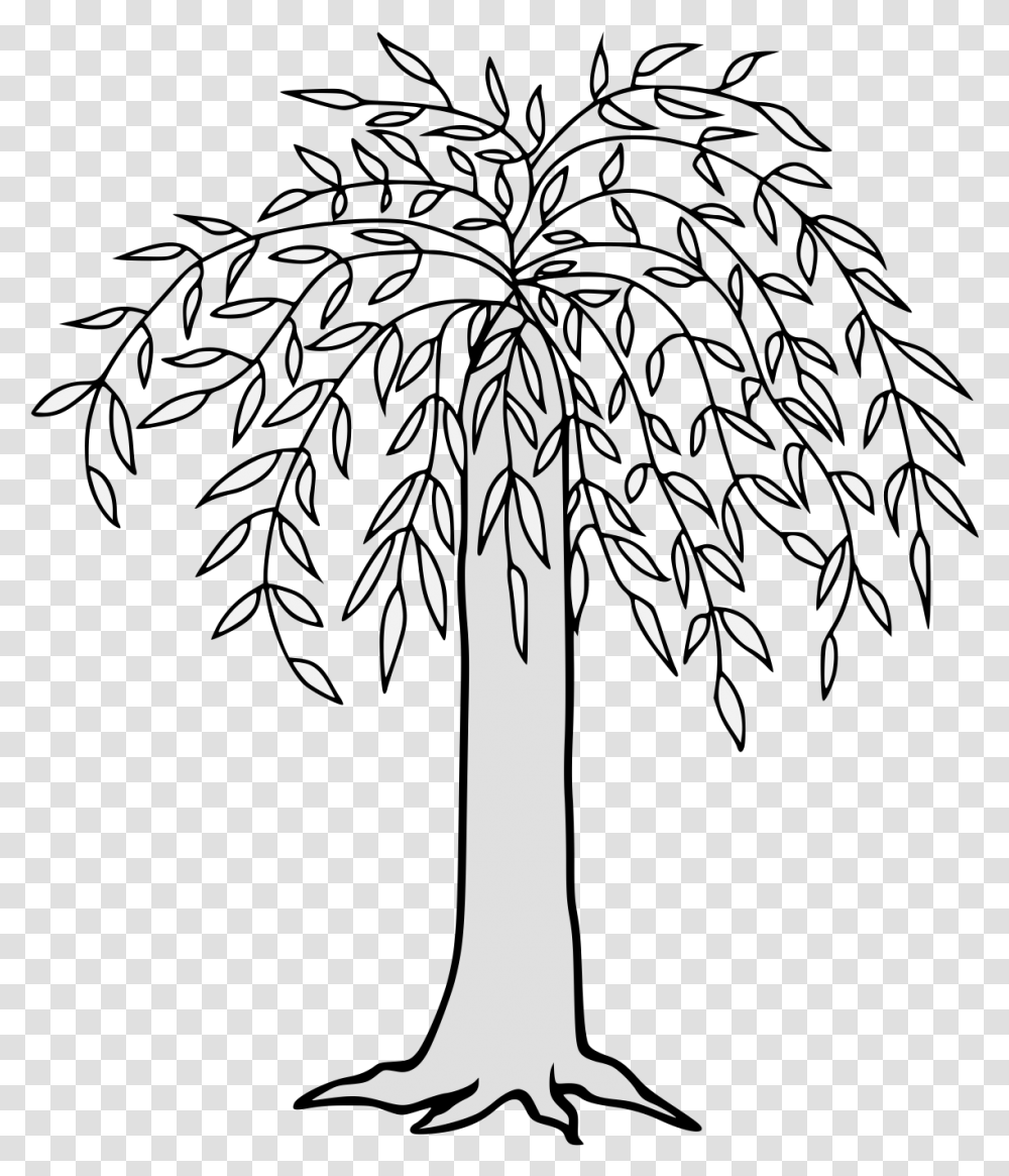 Willow Drawing Palm Tree Weeping Willow Tree Clipart, Plant, Outdoors, Nature, Arecaceae Transparent Png
