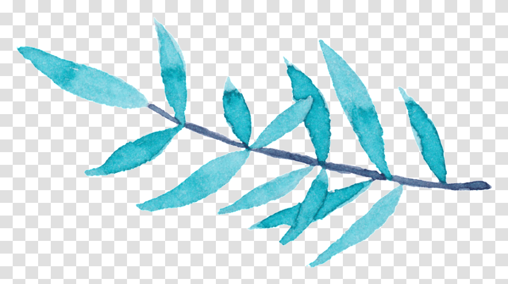 Willow Leaf Hand Painted Leaves Decorative Free Download, Plant, Aluminium, Flower Transparent Png