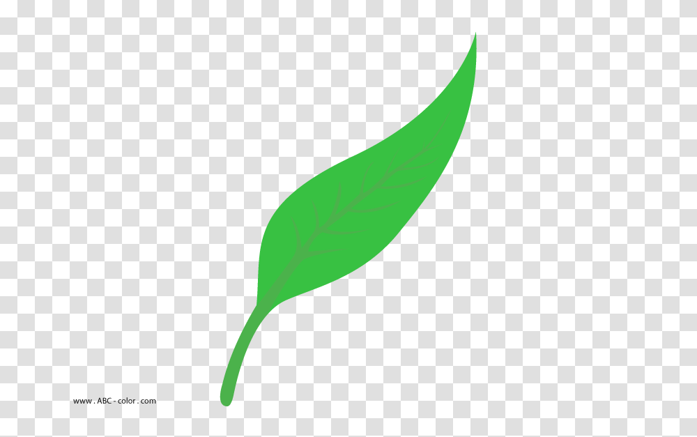 Willow Leaves Clip Art Free Cliparts, Plant, Leaf, Green, Flower Transparent Png