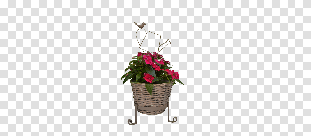 Willow Planter, Basket, Bird, Animal, Flower Transparent Png