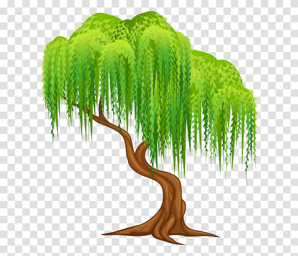 Willow Tree Clipart, Plant, Green, Vegetation, Leaf Transparent Png