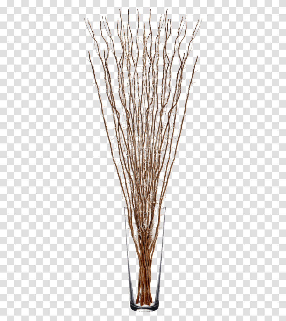 Willow Twigs With Fairy Lights Vase, Crystal, Vegetation, Plant Transparent Png