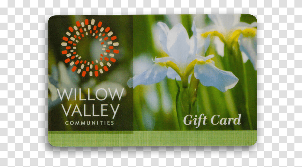 Willow Valley Gift Card Iris, Plant, Flower, Petal Transparent Png