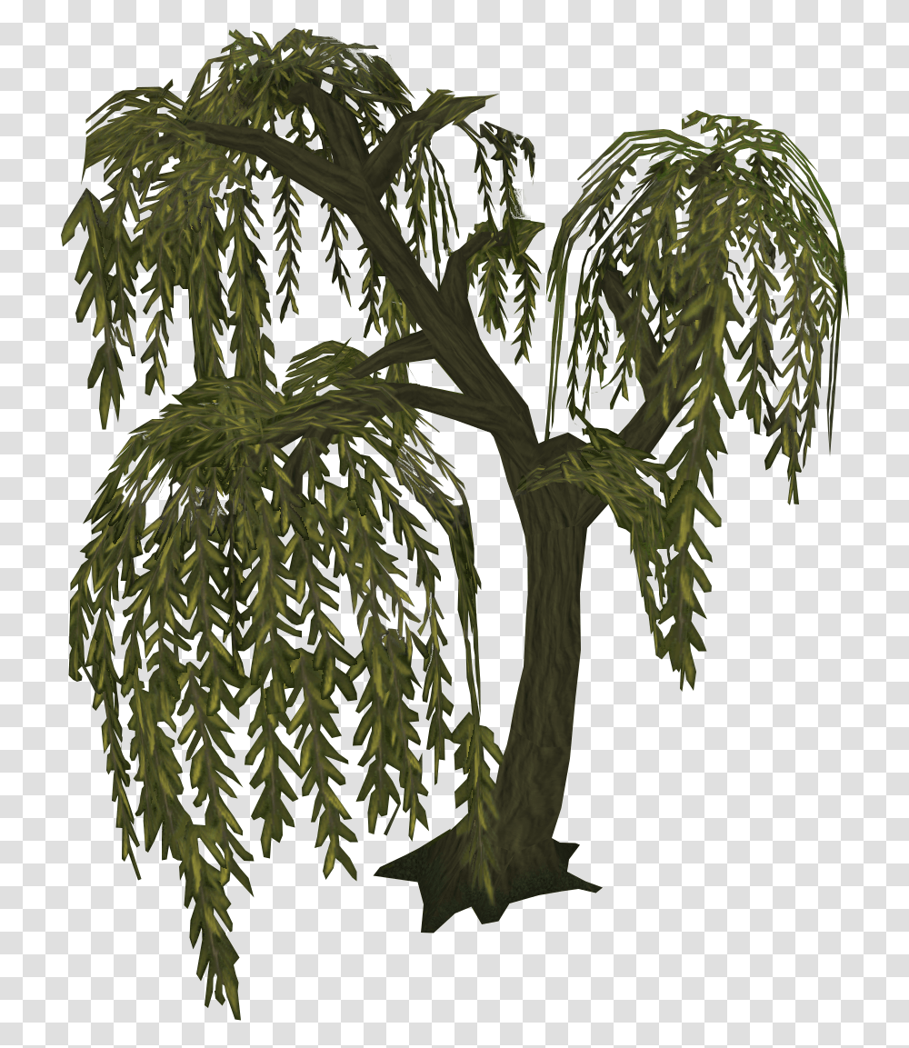 Willow Willow Tree Runescape, Plant, Vegetation, Bush, Leaf Transparent Png