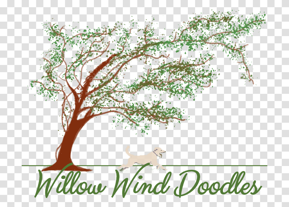 Willow Wind Doodles Calligraphy, Tree, Plant, Vegetation, Outdoors Transparent Png