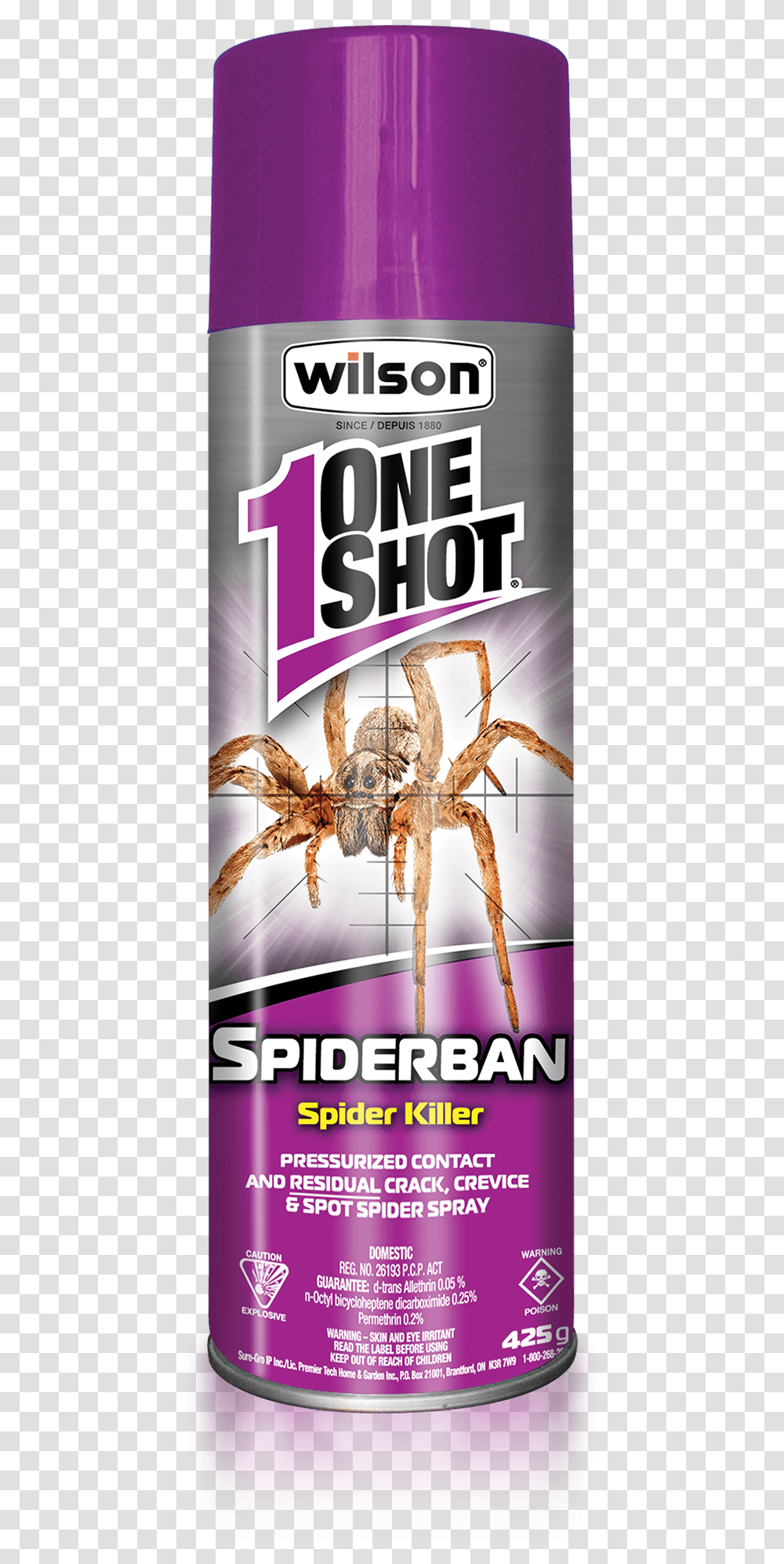 Wilson One Shot Spiderban Spider Killer 1 Shot Spider Spray, Invertebrate, Animal, Arachnid, Poster Transparent Png