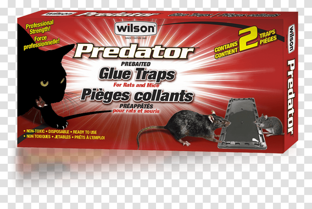 Wilson Predator Mice And Rats Glue Traps Flyer, Rodent, Mammal, Animal, Poster Transparent Png