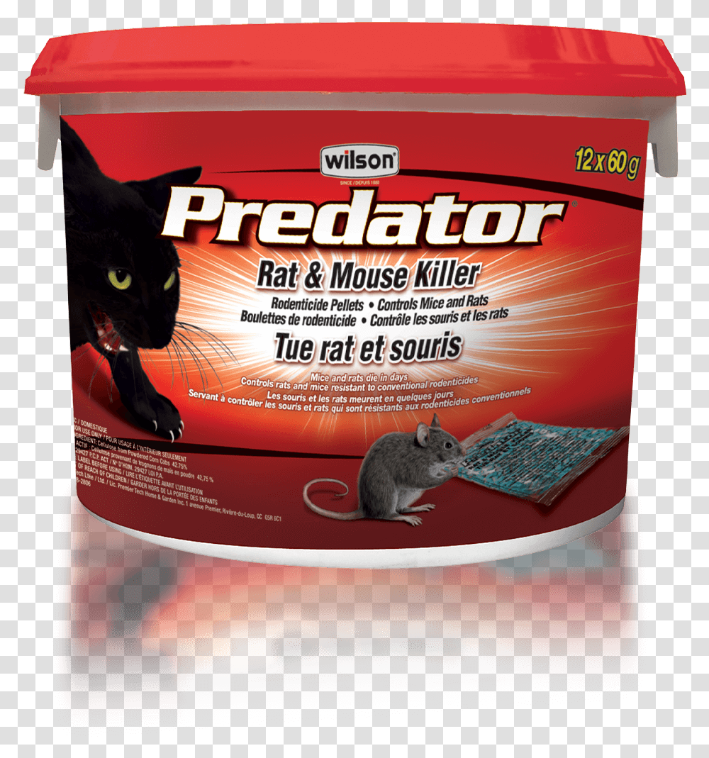 Wilson Predator Rat Mouse Killer Pellets Rat, Box, Cat, Pet, Mammal Transparent Png