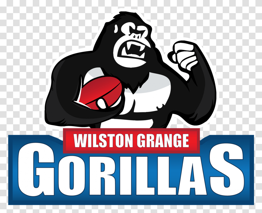 Wilston Grange Football Club, Ape, Wildlife, Mammal, Animal Transparent Png