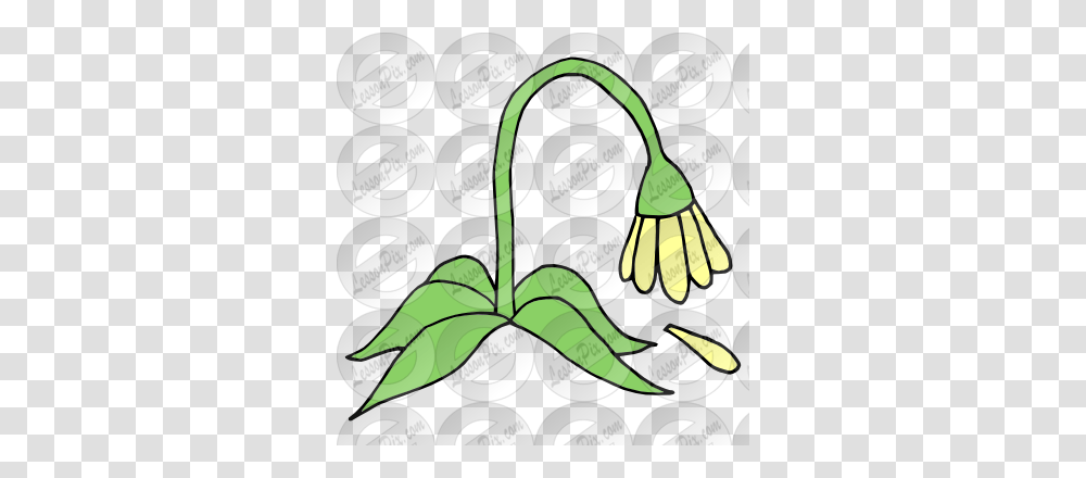 Wilt Picture For Classroom Therapy Use, Plant, Flower, Aloe Transparent Png