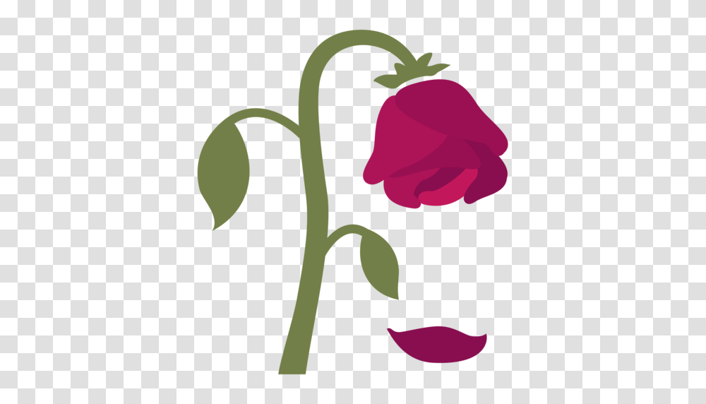 Wilted Flower Emoji, Plant, Petal, Blossom, Rose Transparent Png