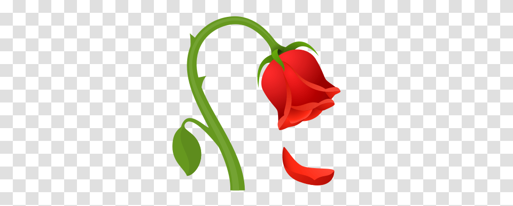 Wilted Flower Icon Wilted Rose Emoji, Plant, Blossom, Pepper, Vegetable Transparent Png