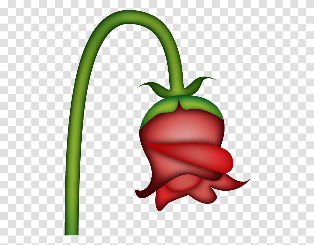 Wilting Rose Emoji Meaning, Plant, Vegetable, Food, Radish Transparent Png
