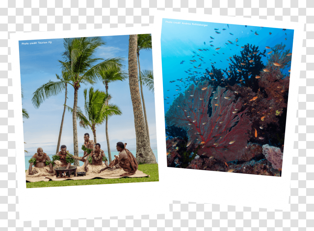 Win A Trip To Fiji Experience A Getaway With Your Bestie Vacation, Person, Human, Tree, Plant Transparent Png