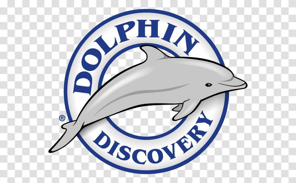 Win And Swim With Dolphins In My Royal Moment Contest, Helmet, Apparel, Sea Life Transparent Png