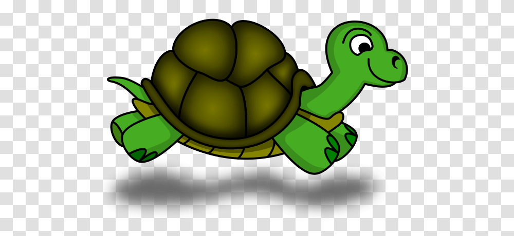 Win, Tortoise, Turtle, Reptile, Sea Life Transparent Png