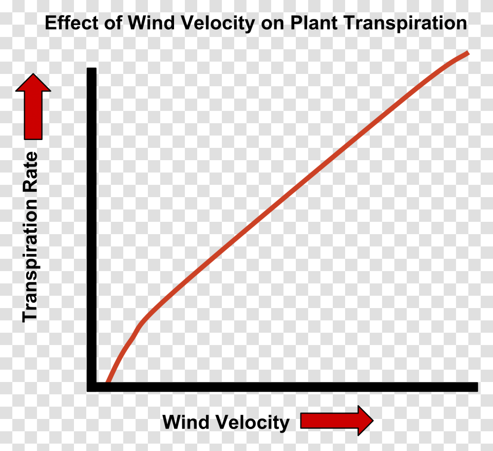 Wind Speed Transpiration Graph Does Wind Speed Affect Transpiration, Arrow, Weapon Transparent Png