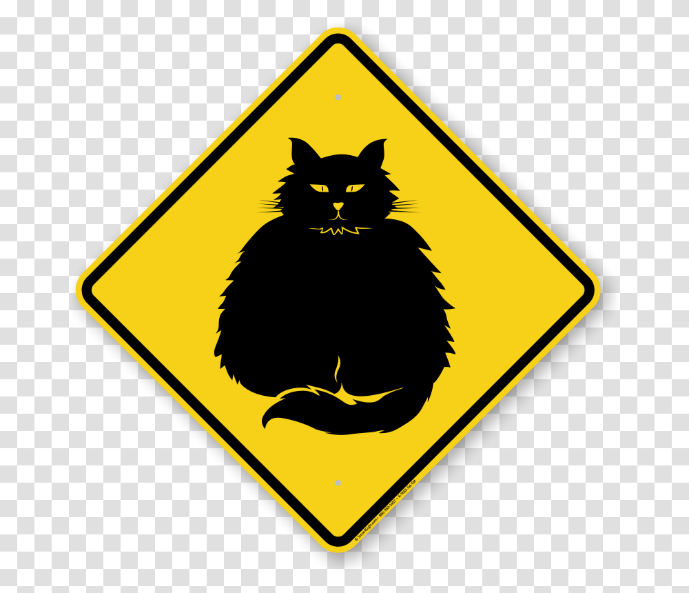 Winding Right Road Signs, Cat, Pet, Mammal Transparent Png