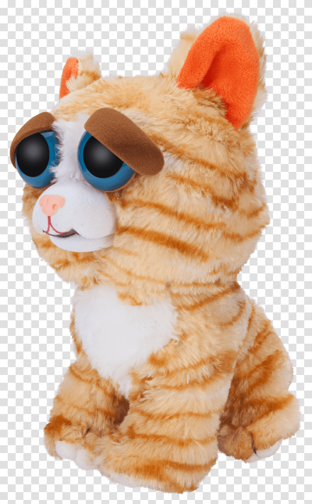 Window Box Feisty Pets Orange Cat Plush Feisty Pets, Toy, Figurine, Animal, Mammal Transparent Png