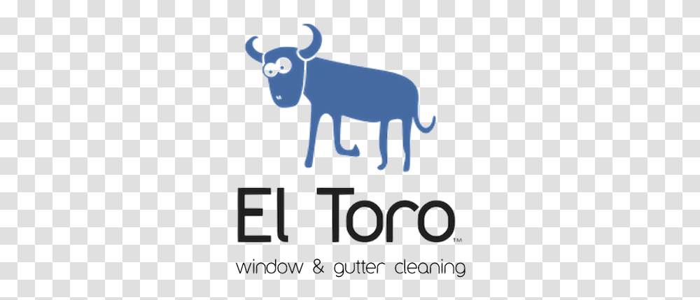Window Cleaning Ox, Mammal, Animal, Buffalo, Wildlife Transparent Png