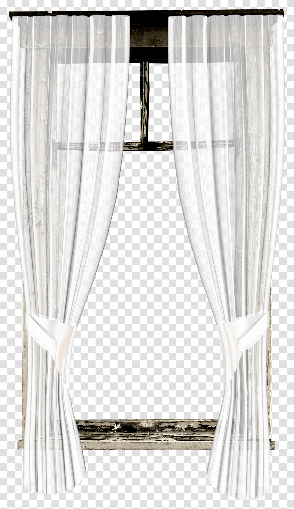Window Covering, Curtain, Rug, Tree, Plant Transparent Png