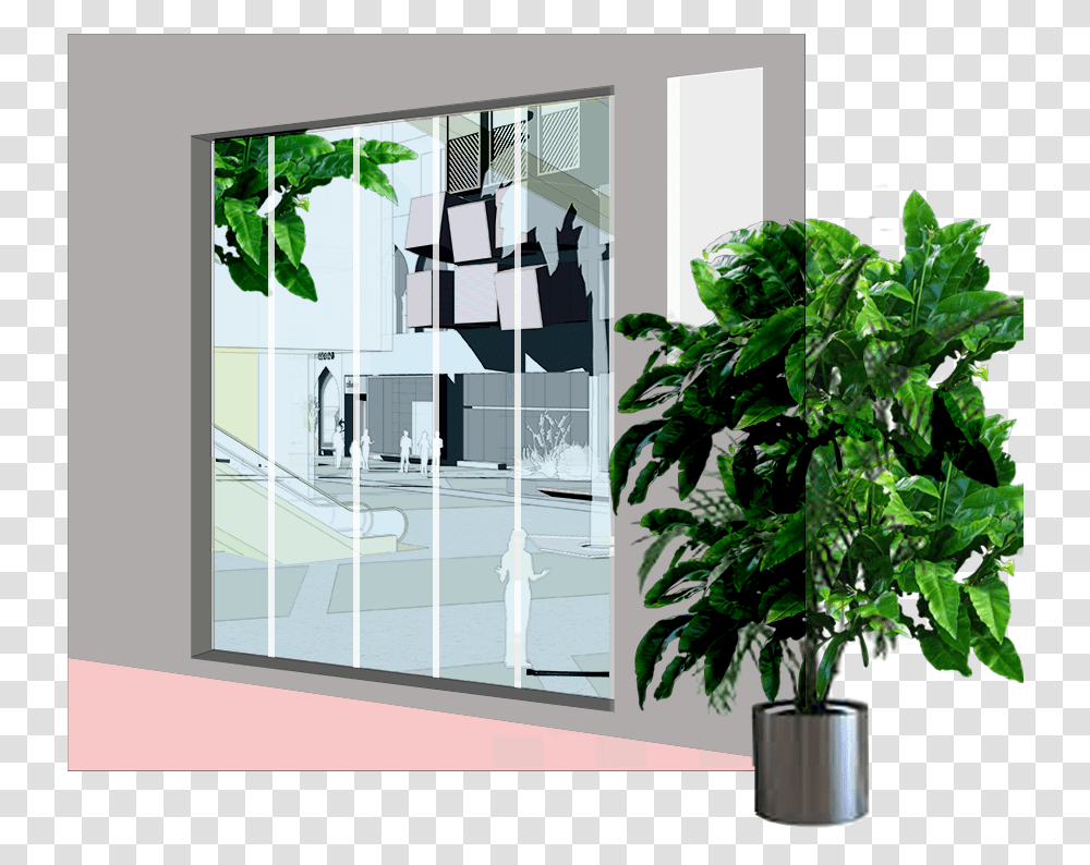 Window Vignette, Plant, Door, Tabletop, Furniture Transparent Png