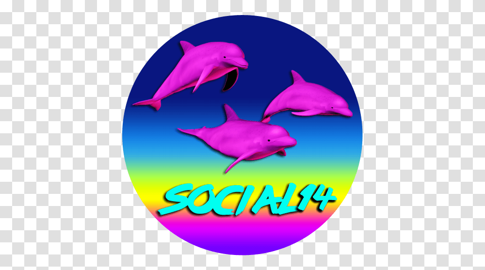 Windows 98 Being Watched Vaporwave T Shirt Social14 Common Bottlenose Dolphin, Mammal, Sea Life, Animal, Bird Transparent Png