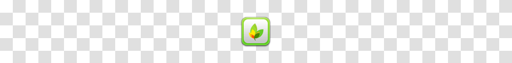 Windows App Icons, Technology, Green, Logo Transparent Png